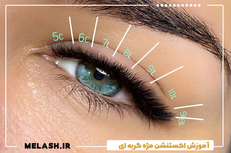 آموزش اکستنشن مژه گربه ای