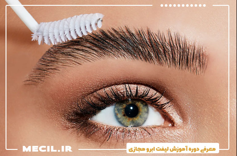 معرفی دوره آموزش لیفت ابرو مجازی